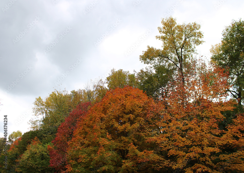 Orange and Green Trees Outside in Autumn Orange and Green Trees Outside in Autumn