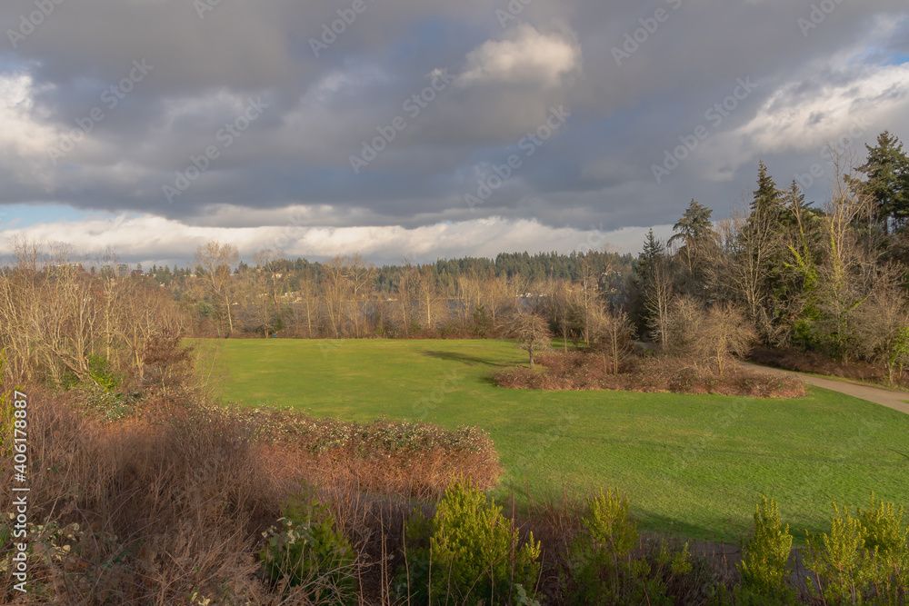 2021-01-14 LUTHER BURBANK PARK ON MERCER ISLAND WASHINGTON WITH CLOUDY SKIES