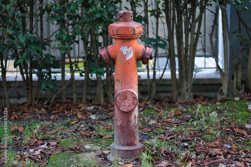 A red fire hydrant by the roadside (Marche, Italy, Europe) A red fire hydrant by the roadside (Marche, Italy, Europe)