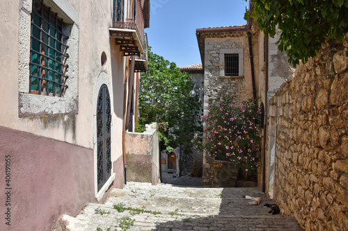 Fototapeta Naklejka Na Ścianę i Meble -  A narrow street between the stone houses of Morcone, an old town in the province of Benevento, Italy.
