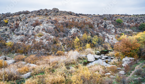 A small small river runs among meadows and rocks on the beautiful nature of the Carpathian hills