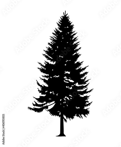 Silhouette of tall skinny pine tree. Hand made.