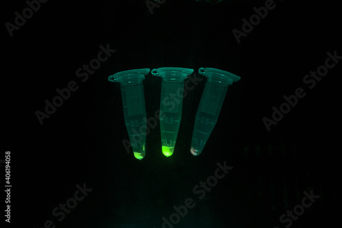 Eppendorf tubes of bacterial cell pellets under blue light; E. coli expressing fluorescent proteins YFP, RFP, and GFP in tubes on wood lab bench