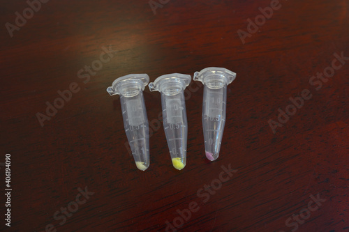 Eppendorf tubes of bacterial cell pellets under white light; E. coli expressing fluorescent proteins YFP, RFP, and GFP in tubes on wood lab bench
