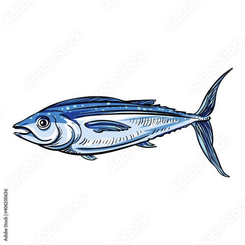 Seafood tuna icon. Cartoon of seafood tuna vector icon for web design isolated on white background