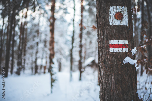Fototapeta Naklejka Na Ścianę i Meble -  Zimowy szlak/Winter trail
