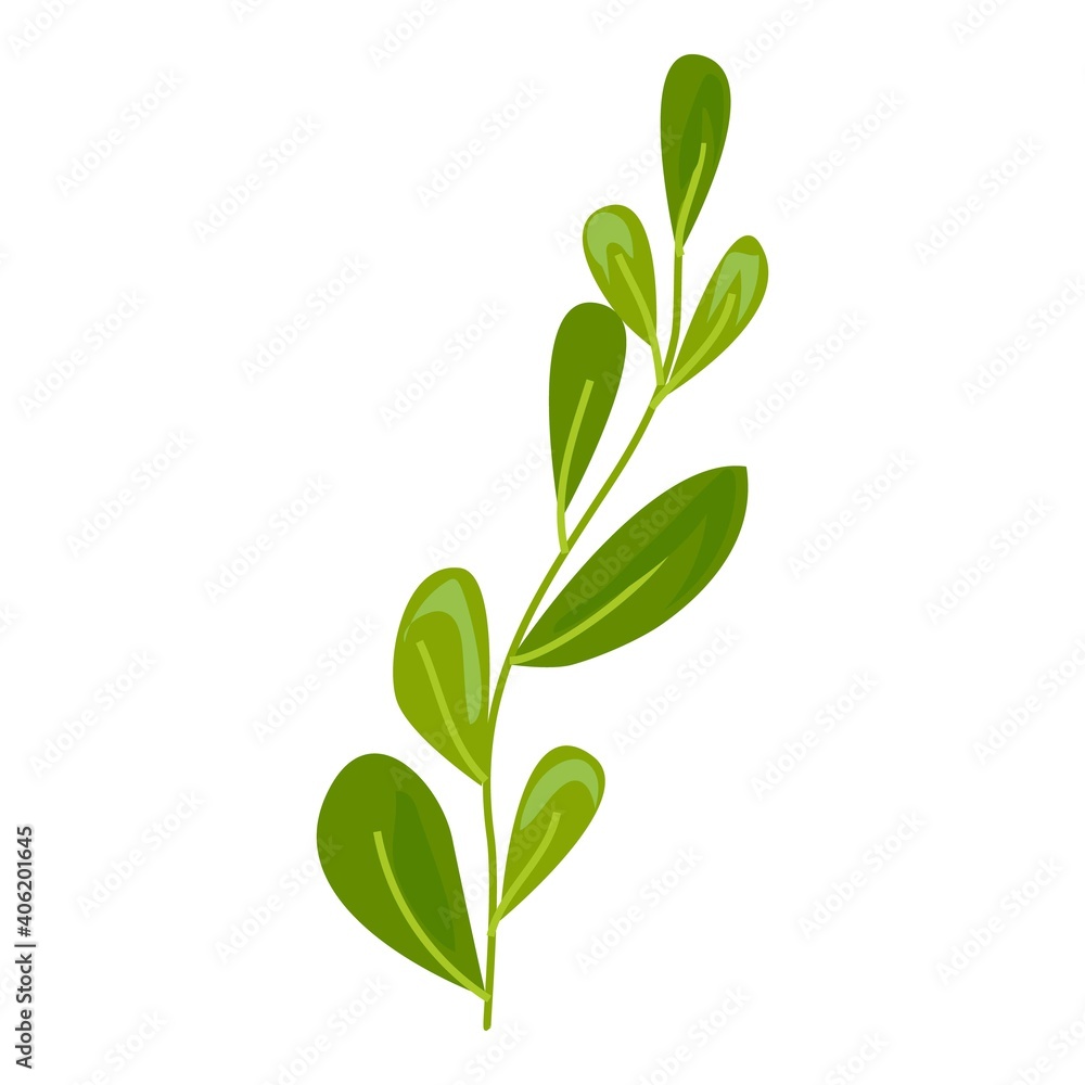 Aquarium laminaria icon. Cartoon of aquarium laminaria vector icon for web design isolated on white background Aquarium laminaria icon. Cartoon of aquarium laminaria vector icon for web design isolated on white background
