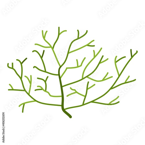 Aquarium thin plant icon. Cartoon of aquarium thin plant vector icon for web design isolated on white background