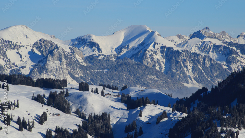 Winter landscape seen from Horneggli, Switzerland.