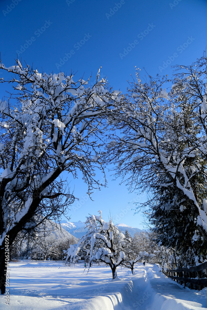 Fototapeta premium Winterlandschaft, Imst in den Tiroler Alpen