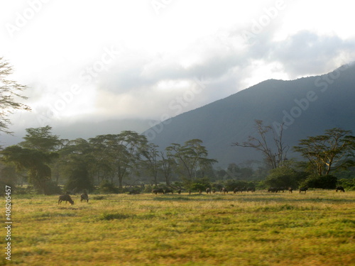 sunset Ngorongoro Conservation Area in Tanzania