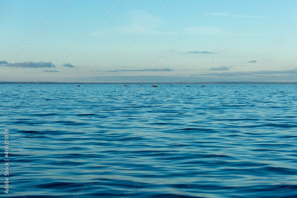 Turquoise water color against the sky. The Gulf of Finland. Baltic Sea. Ripples in the water. Sunny day. Background.