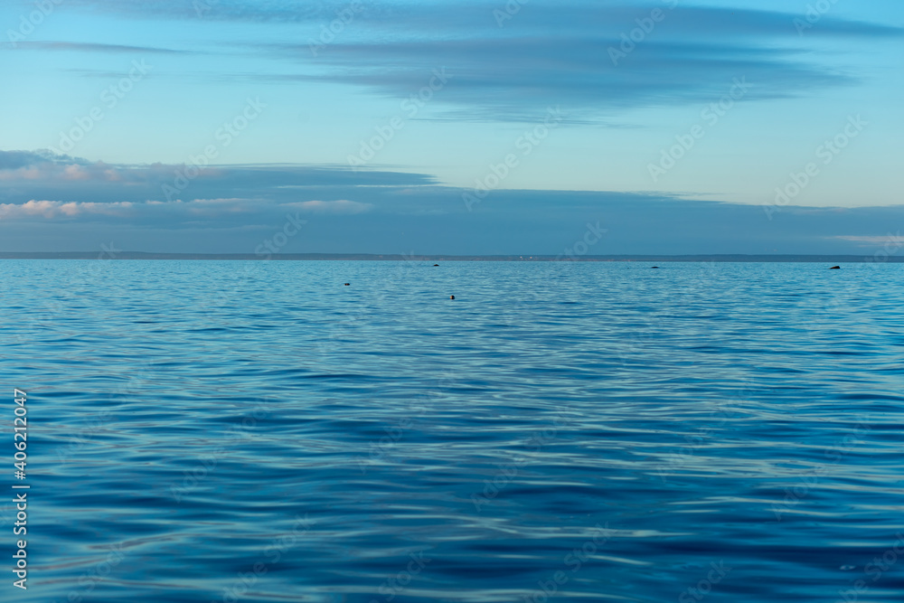 Fototapeta premium Turquoise water color against the sky. The Gulf of Finland. Baltic Sea. Ripples in the water. Sunny day. Background.