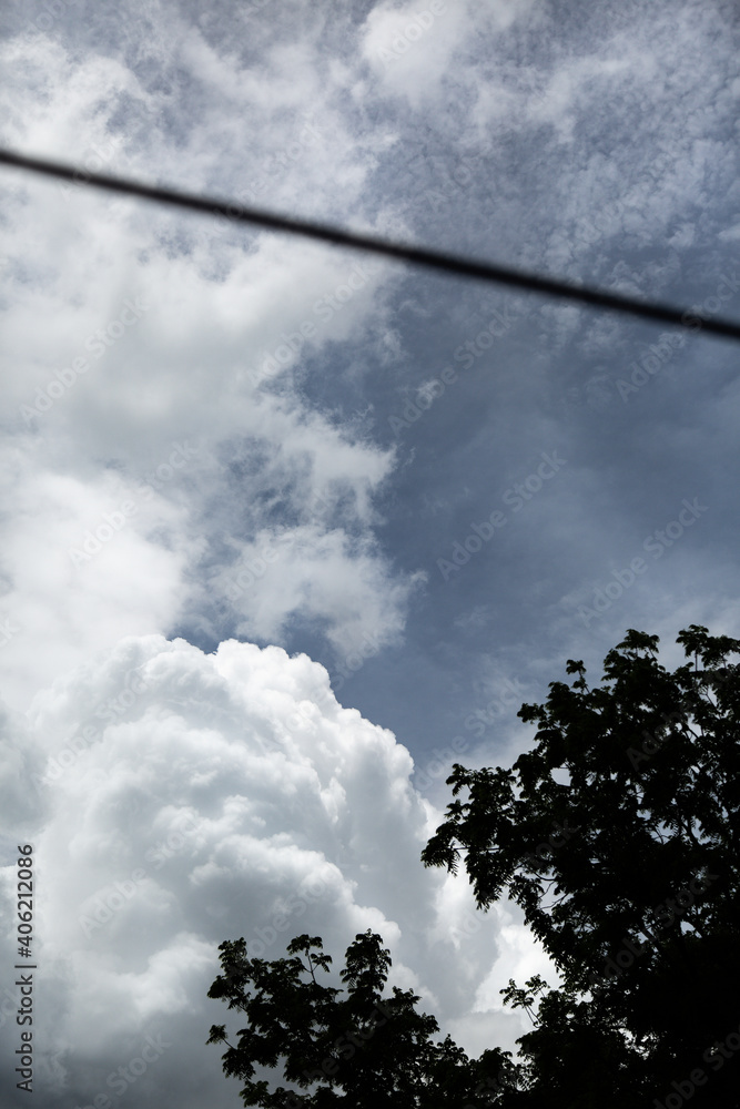 low angle view of a large white puffy cloud rolling past a dark tree in the foreground
