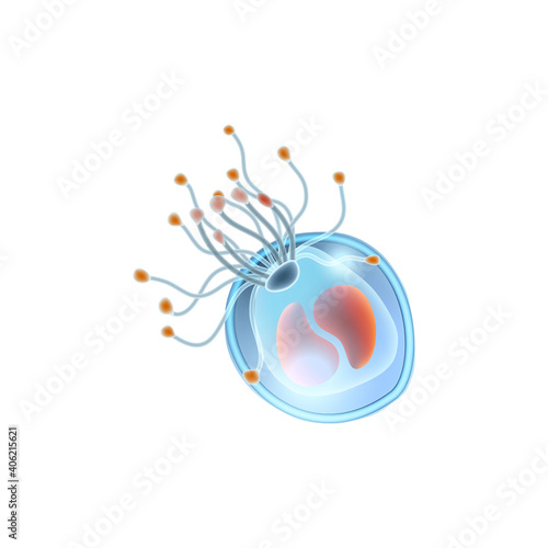 Plankton Realistic Icon