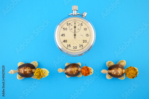 Stopwatch and marathon turtles as a symbol. Turtles out of focus. photo