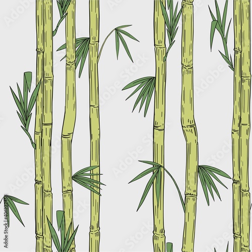 Bamboo plant. Seamless pattern. Hand drawn vector illustration