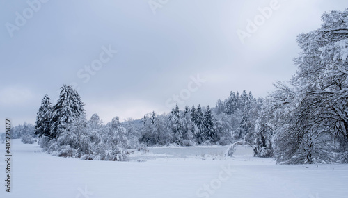 Winterwonderland auf dem Land