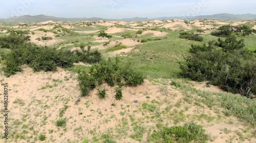 Desert plants on sand in semi-desert dunes.Moltsog els Khustai National Park Bulgan Soum Umnugobi province aimag Khongoryn Els sands dune aerial view overhead flying flight drone bare simple barren 4K photo