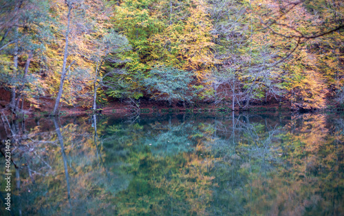 lake and forest landscape in autumn