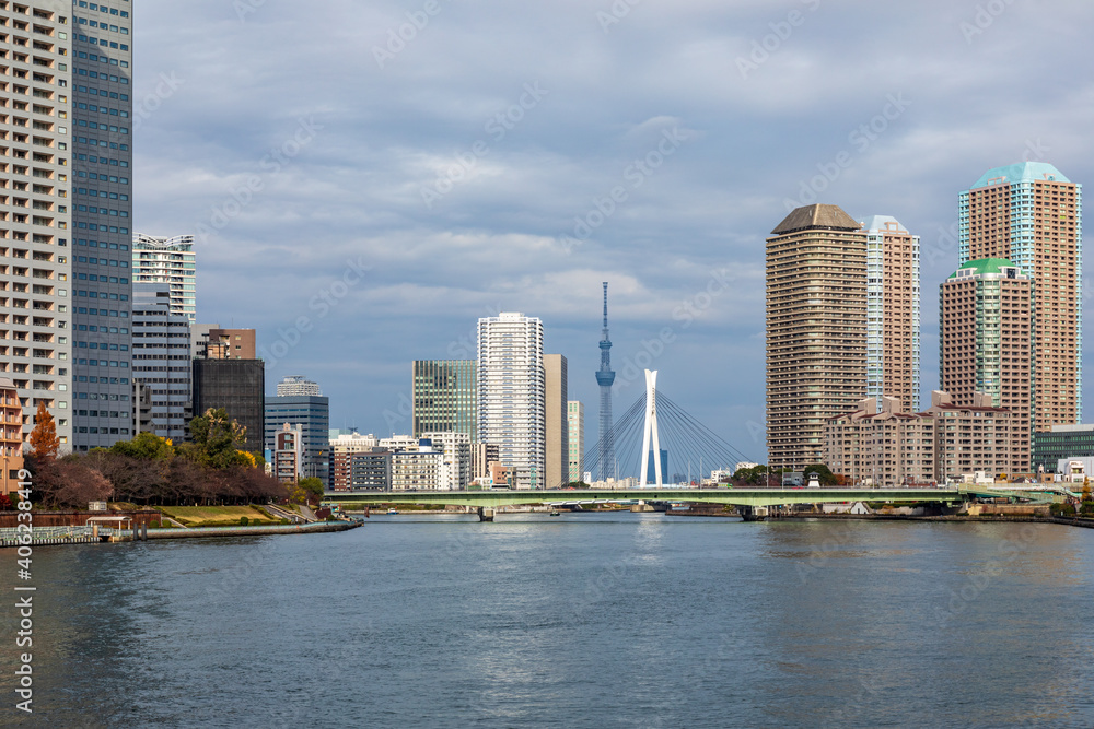 隅田川川岸から佃大橋、東京スカイツリーを見る