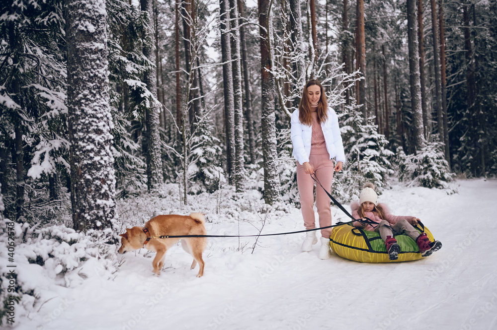 Happy mother and little cute girl in pink warm outwear walking having fun rides inflatable snow tube with red shiba inu dog in snowy white winter forest outdoors. Family sport vacation activities