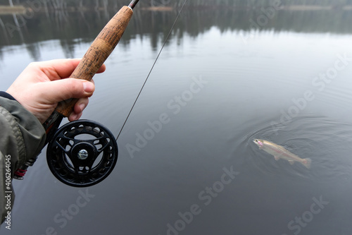 Man fighting with rainbow trout with the fly rod