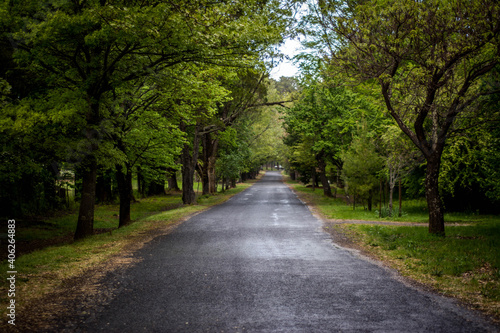road in the park © CJO Photography