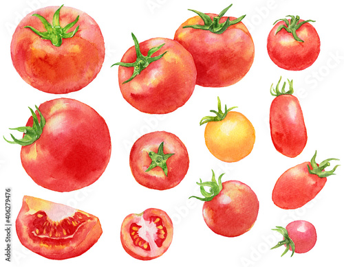 Fototapeta Naklejka Na Ścianę i Meble -  トマトとカラフルなミニトマト　たくさん　素材　水彩画