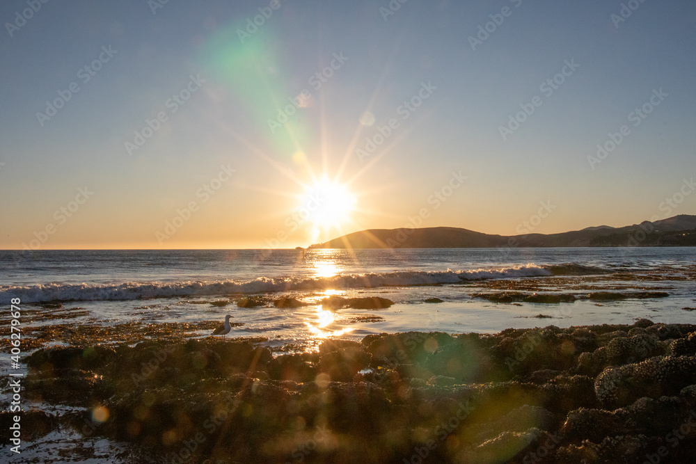 Pismo Beach California Sunset, Landscape of Tidepools on Central Coast