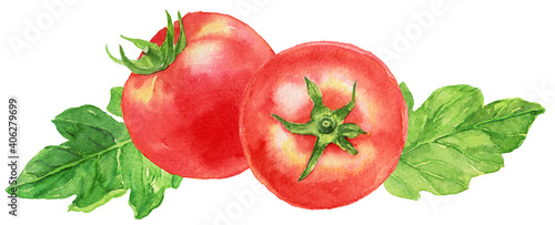 トマト ２個 トマトの葉 水彩画
