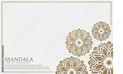 Luxury white mandala background concept
