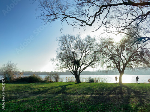 Winter scene in the countryside. View of two trees without foliage by a lake. Shadows of the trunks on the lawn. Silhouette of a couple contemplating the landscape.