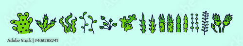 set of sea plants cartoon icon design template with various models. vector illustration isolated on blue background