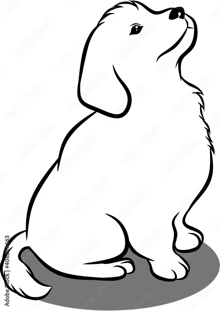 Cute white dog Cute white dog