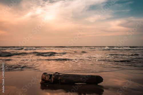 wood on the beach at sunset