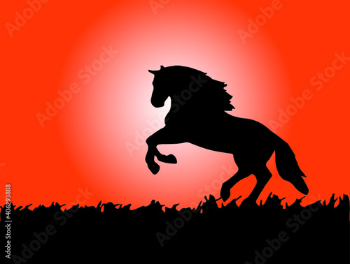 horse vector illustration isolated on background