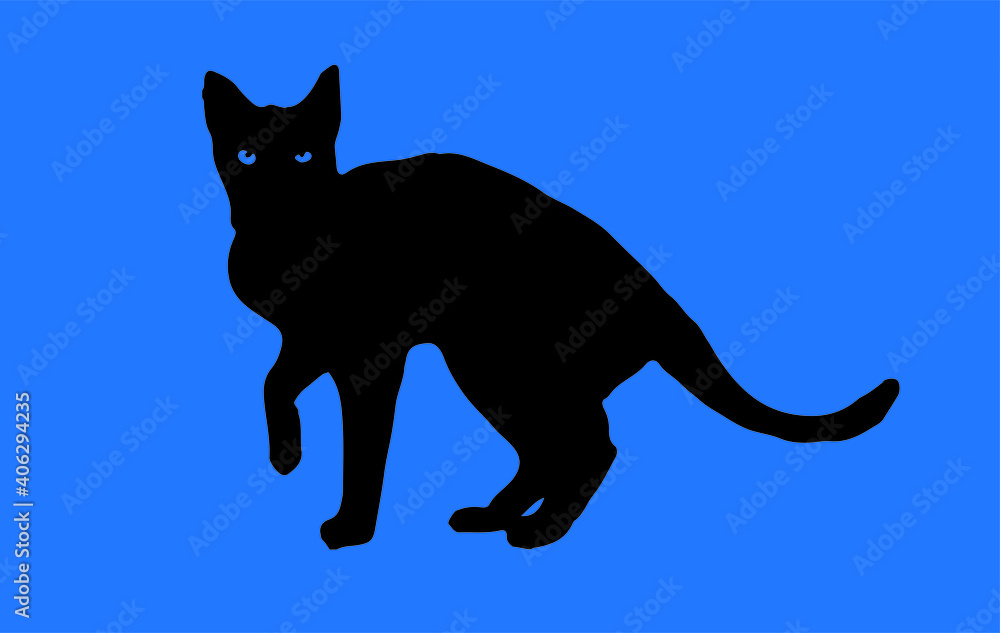 Obraz premium cat vector isolated on background
