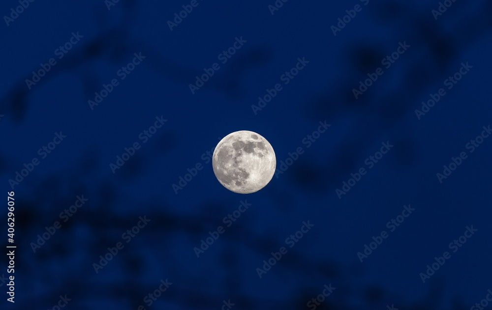 Full moon against the night sky through the branches of an Apple tree in winter. Full moon against the night sky through the branches of an Apple tree in winter.