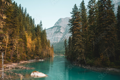 Crystal clear river forest and mountains