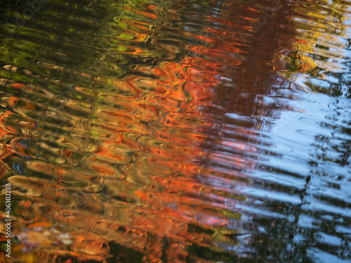 紅葉　水面