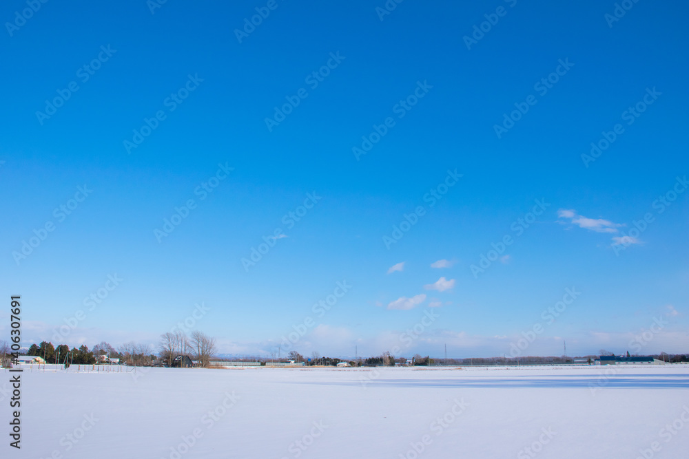 Snowfields and clear blue sky in Hokkaido (Eniwa City, Hokkaido, Japan) Snowfields and clear blue sky in Hokkaido (Eniwa City, Hokkaido, Japan)