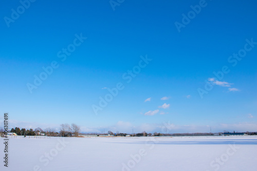 Snowfields and clear blue sky in Hokkaido (Eniwa City, Hokkaido, Japan)