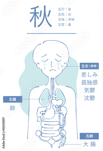 陰陽五行　秋　白　肺　大腸　悲しみ　孤独