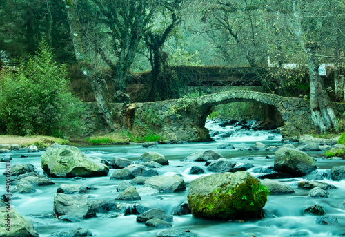 old stone bridge in the park photo