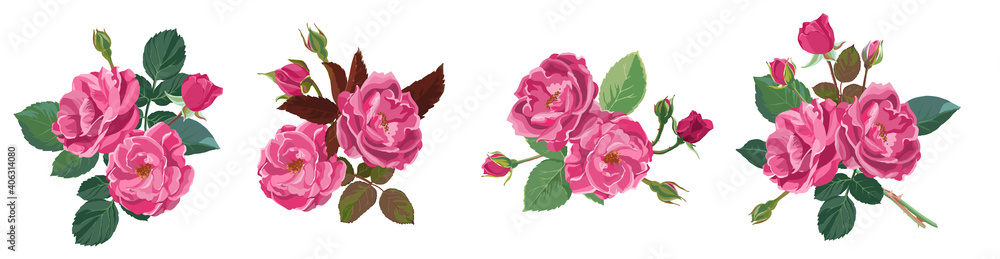Fototapeta premium Roses or peonies in bloom, flourishing flowers