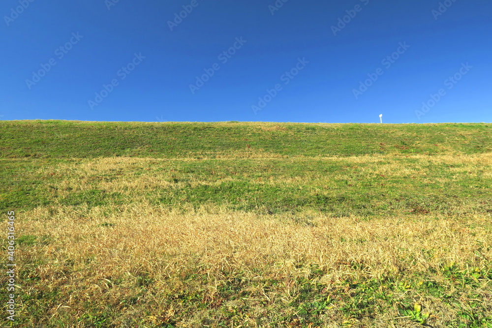 Fototapeta premium 枯れ草と若草のある冬の江戸川土手風景