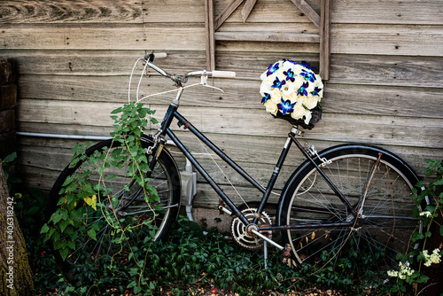 old bicycle in the garden