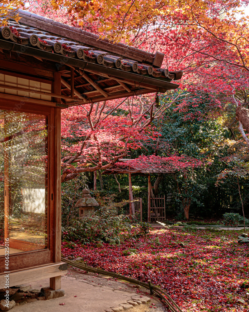 Beautiful Autumn Leaves in Kyoto Japan Beautiful Autumn Leaves in Kyoto Japan