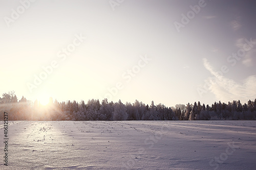 landscape winter forest  seasonal beautiful view in snowy forest december nature